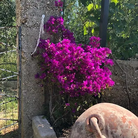 Il Blu Direkt Am Апартаменты *